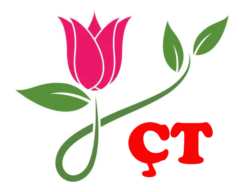Çiçek Tohumu