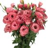 Lisianthus ( Lale Gül ) Advantage Serisi - GÜL RENGİ ( 5 Tohum )