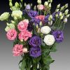 Lisianthus ( Lale Gül ) Advantage Serisi - KARIŞIK ( 5 Tohum )