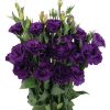 Lisianthus ( Lale Gül ) Advantage Serisi - MOR ( 5 Tohum )