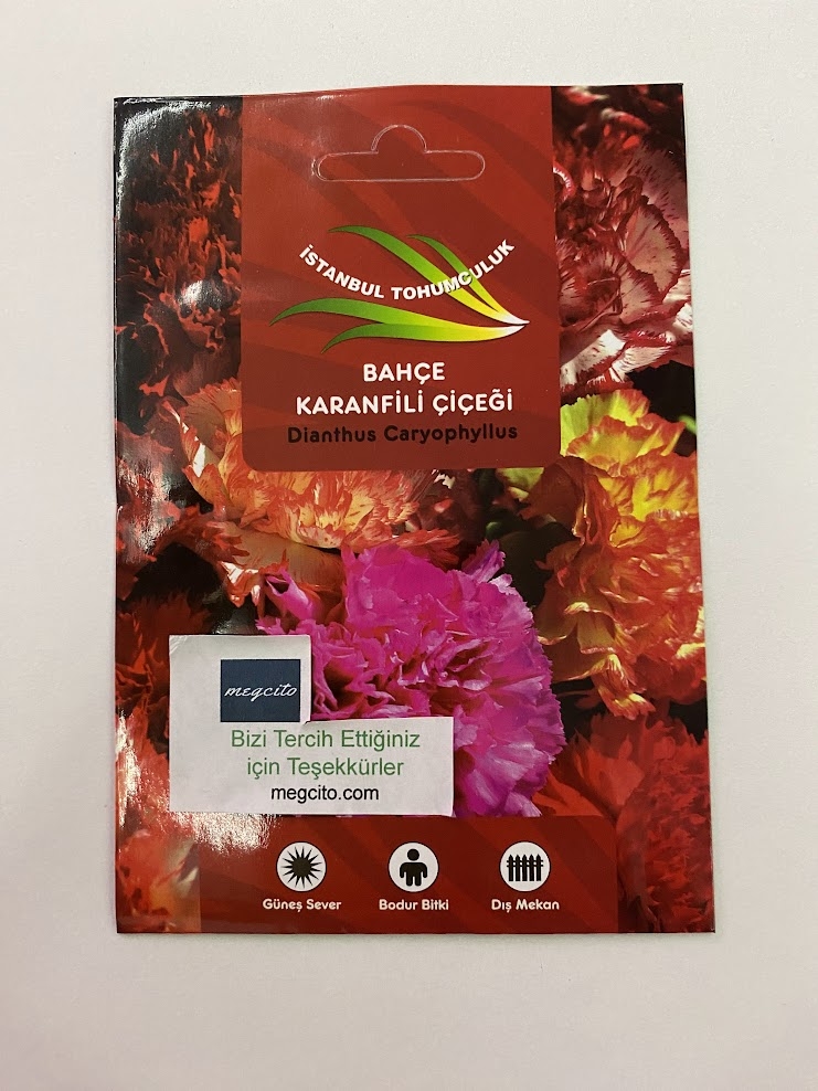 bahce-karanfili-3-5e27276